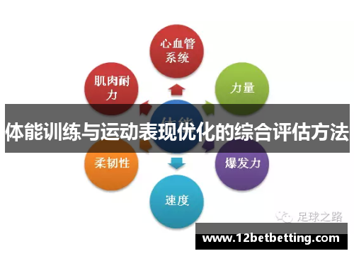 体能训练与运动表现优化的综合评估方法